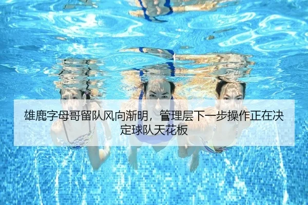 雄鹿字母哥留队风向渐明，管理层下一步操作正在决定球队天花板